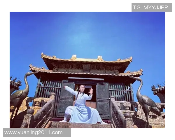 探寻武术的深层魅力与精神传承：从传统技艺到现代发展的多维视角